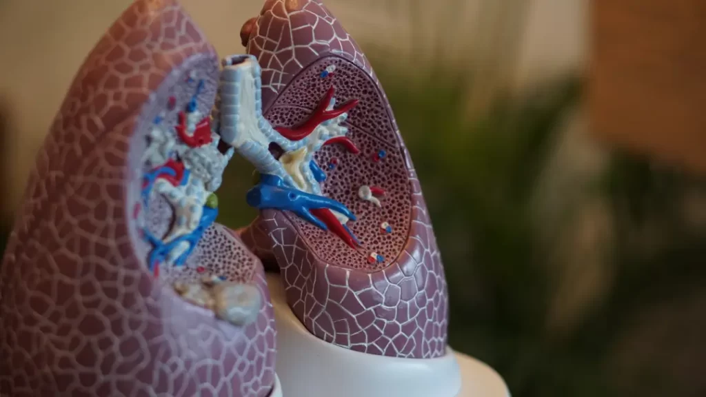 Best Lung Cancer Treatment in Chennai