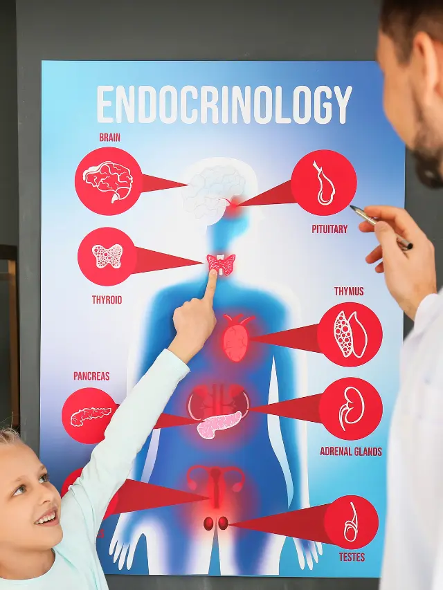 Top 10 Endocrinologist in Chennai
