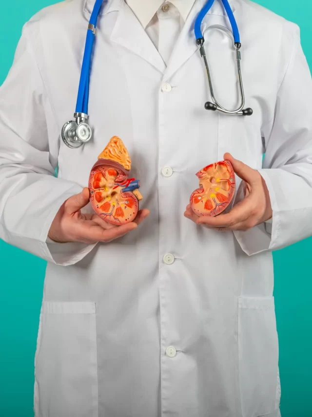 doctor-hands-holding-kidneys-shape-health-care-medical-insurance-concept